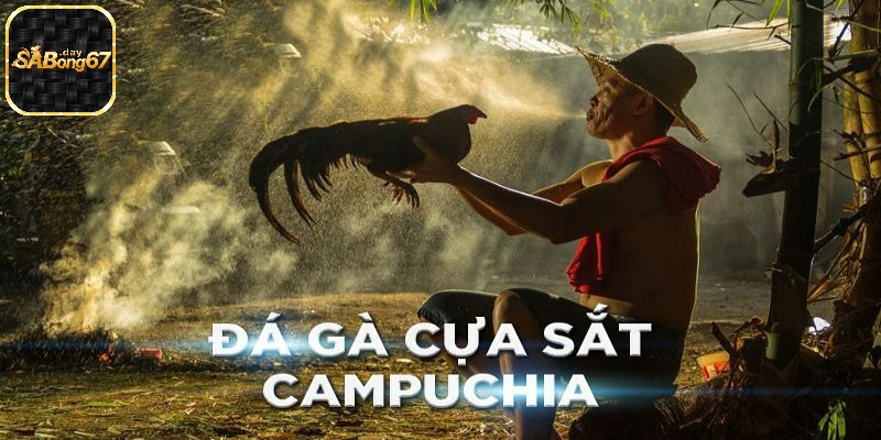 Khái niệm về đá gà cựa sắt