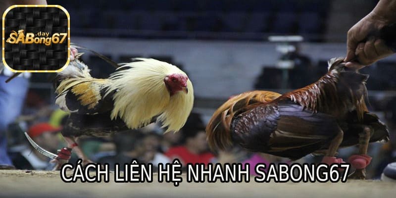 Liên hệ nhanh Sabong67