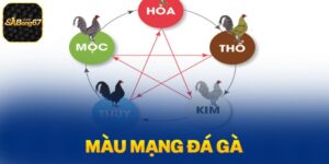 Màu mạng gà là kiến thức được lưu truyền trong dân gian, áp dụng bởi sư kê