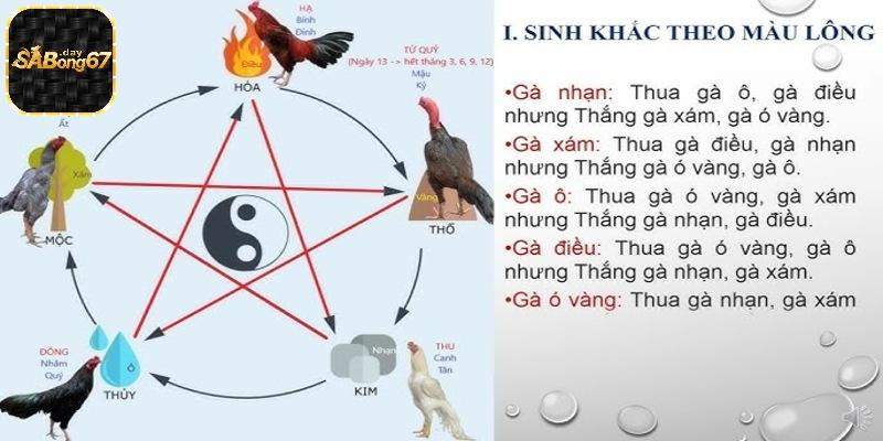 Ngoài sự tương sinh, ngũ hành tồn tại quan hệ tương khắc, thể hiện chế ngự nhau