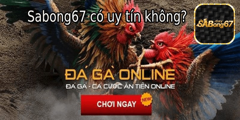 Độ uy tín của nhà cái Sabong67