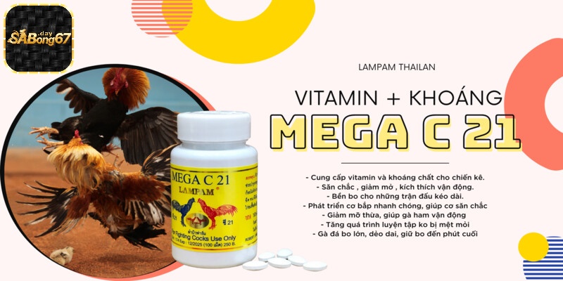 Vitamin tổng hợp là chìa khóa giúp phát triển toàn diện, đặc biệt là khi chế độ ăn