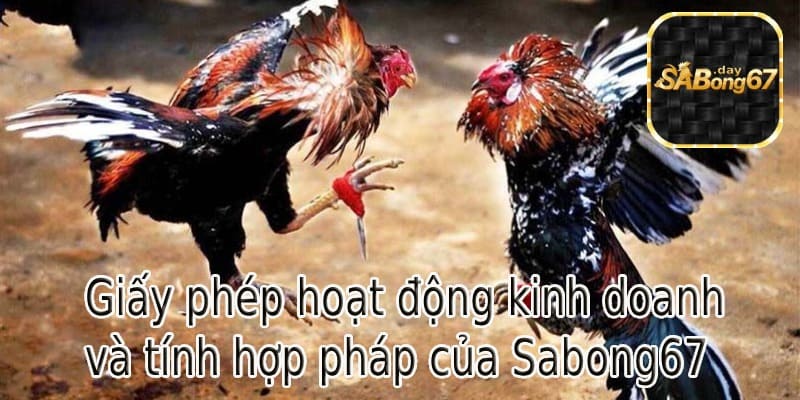 Giấy phép hoạt động kinh doanh và tính hợp pháp của SABONG67